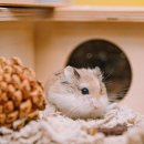 강한우리동물병원 이미지