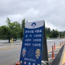삼소자동차정비 | 1박 2일/ 경기도 양평/ 용문산/ 용문사/ 사찰/ 절/ 은행나무