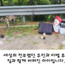 탄천주차장 | 탄천 공영 주차장에 버려진 강아지 +후기