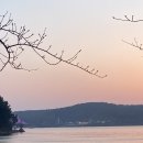 맘스터치 군산지곡점 이미지