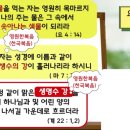 생수의강 이미지