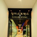 성지스포렉스