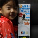 L-1 | 수이사쿠 사이펀 여과기 L 1년 롱텀 후기