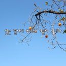 &#39;석과불식&#39; (碩果不食)은 이미지