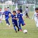 축구 이미지