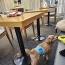 워니시티 이미지