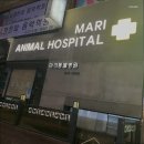 수동물병원 네이버블로그