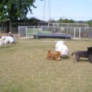 마한주유소 이미지