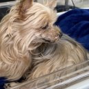 상아동물병원 이미지