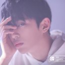 D1 이미지