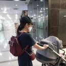 스코노 로이나 여성가방 백팩 3종세트 데일리백