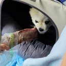 연가스테이크앤스시