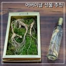 강원고등학교 | 어버이날 선물 추천 산양삼 &amp; 산양삼주 복용방법 강원도 삼척 장뇌삼 내돈내산 구입 후기