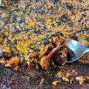 황금쭈꾸미집 이미지