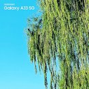 바람이 머무는 곳 이미지