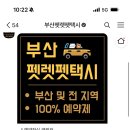 부산펫렛펫택시 이미지