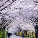 올림픽공원 북1문 옆 공원 이미지