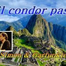 El condor pasa - Simon &amp; Garfunkle 이미지