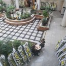 지성병원 이미지