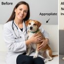 부신농장 이미지