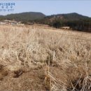 남해-94 네이버블로그