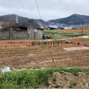 금호오션공인중개사사무소 이미지