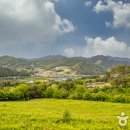 해피목장 이미지