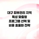 삼덕통상(주) | 대구 피부관리 지역 특성 맞춤형 프로그램 선택 및 비용 효율화 전략
