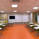 서울하늘숲초등학교 네이버블로그