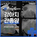 대방동물병원 이미지