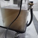 순수세탁 | 이케아 스톡홀름 100% 양모러그, 대구에서 완벽 세탁한 후기!