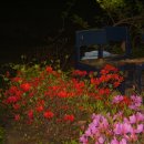 은희네집 이미지