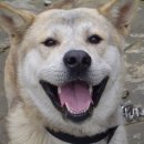 비호농장 이미지