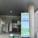 피자마루 홍성점 이미지