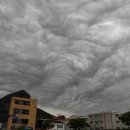 제주온인 이미지