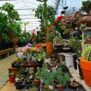 대원농장 이미지