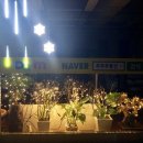 금산공인중개사사무소 이미지