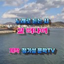 솔빛길가든 네이버블로그