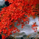 21C 공인중개사사무소 이미지