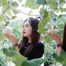 제주도 레인보우 네이버블로그