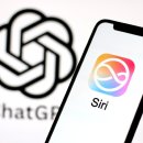 베리타스 이미지