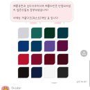 [창원 퍼스널컬러/비대면 진단] &#39;온컬러&#39; 가을웜뮤트 진단 후기