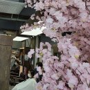 리안헤어 가정루원시티점