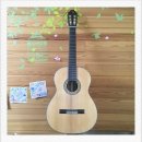 왕초보 클래식기타 이미지