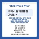 반디인하우스&큐릭스 광교앨리웨이점