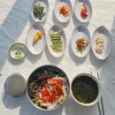 장군부페 | 고성 봉포항 영순네횟집 물회 회덮밥 성게알밥 바다뷰 직관 최근접 1열 로컬맛집후기