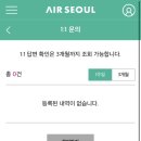 에어서울 1:1 문의 남겨본 눈아? 이미지