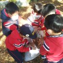 은하자연어린이집 이미지