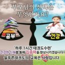 송정늘푸른태권도 이미지