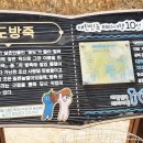 죽도방
